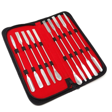 10 Pcs Lab Micro Spatulas Double Ended Stainless Steel Sampling Tools In A Carrying Case